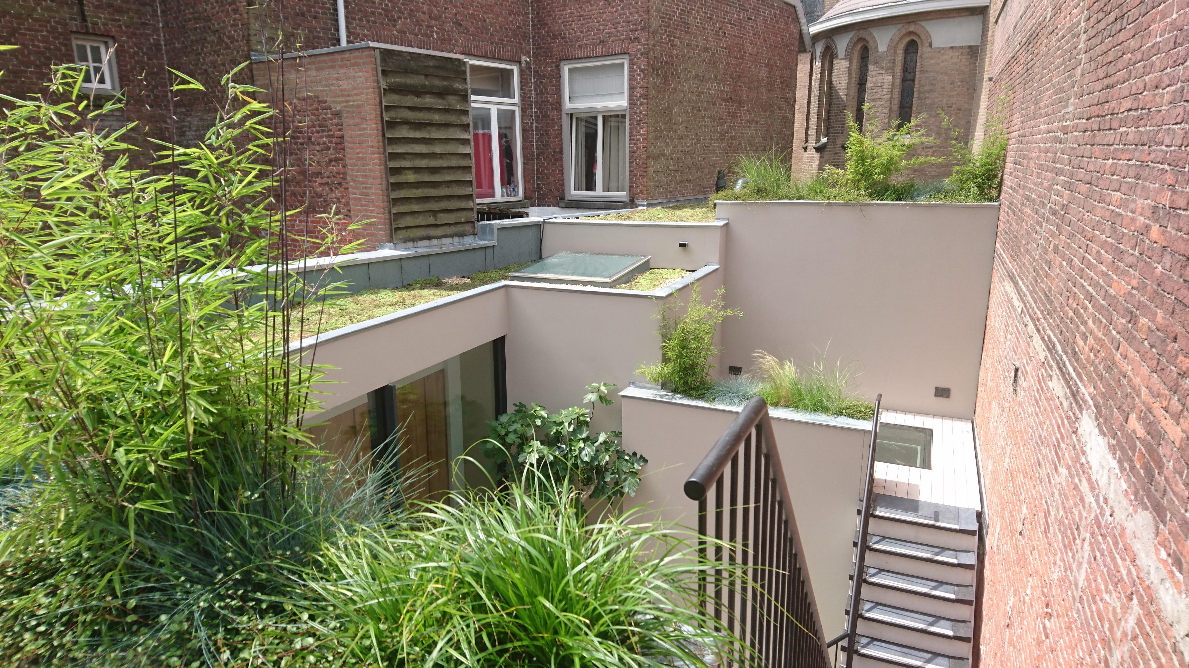 Daktuin in den bosch, mede aangelegd door daktuindesign