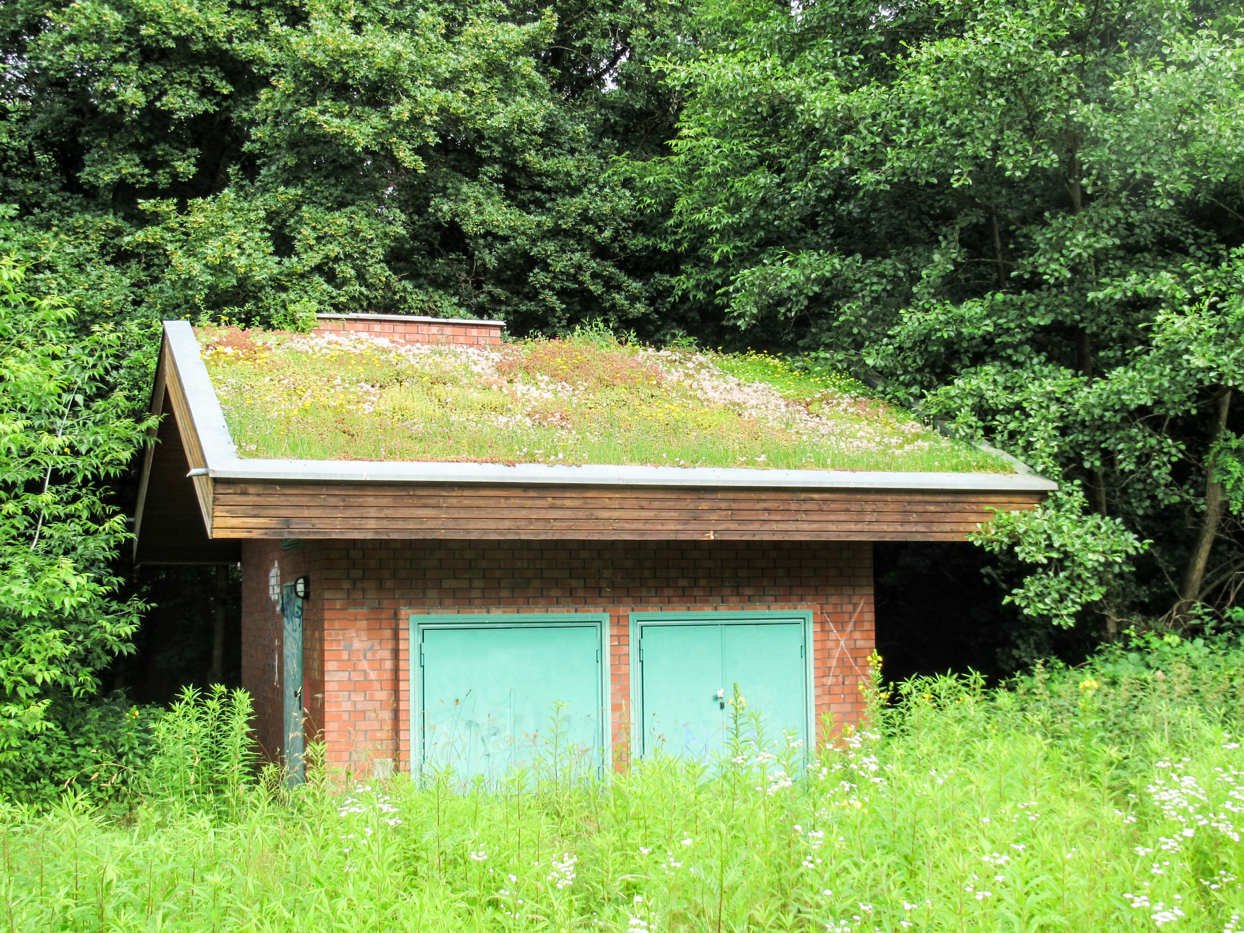 roof-greening-1201601 wilde bloemendak