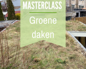 Cursus groene daken