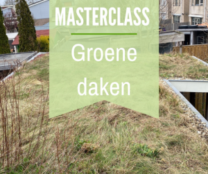 Cursus groene daken