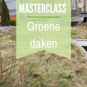 Cursus groene daken