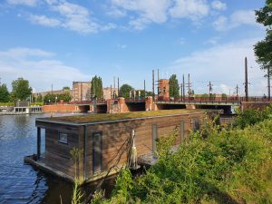 sedumdak op een woonboot