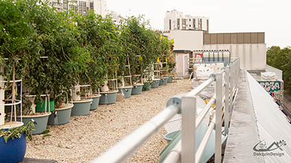 Urbanforestry met de Towergarden op het dak in parijs